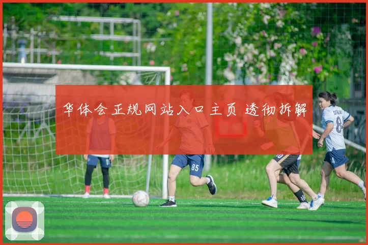 华体会正规网站入口主页 透彻拆解