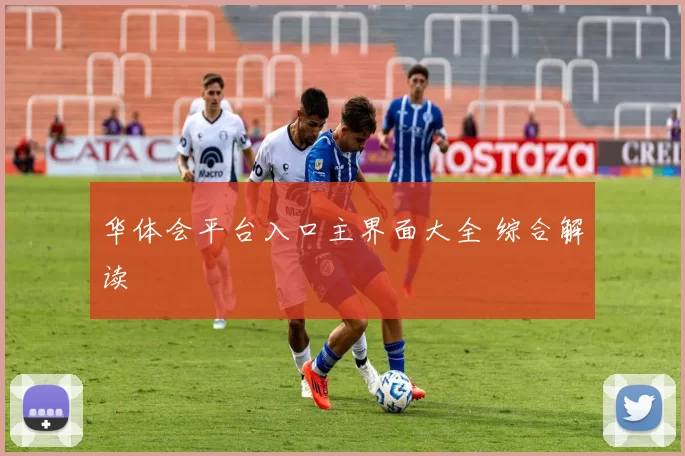 华体会平台入口主界面大全 综合解读