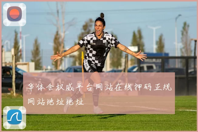 华体会权威平台网站在线押码正规网站地址地址