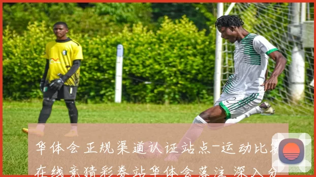 华体会正规渠道认证站点-运动比赛在线竞猜彩券站华体会落注 深入分析