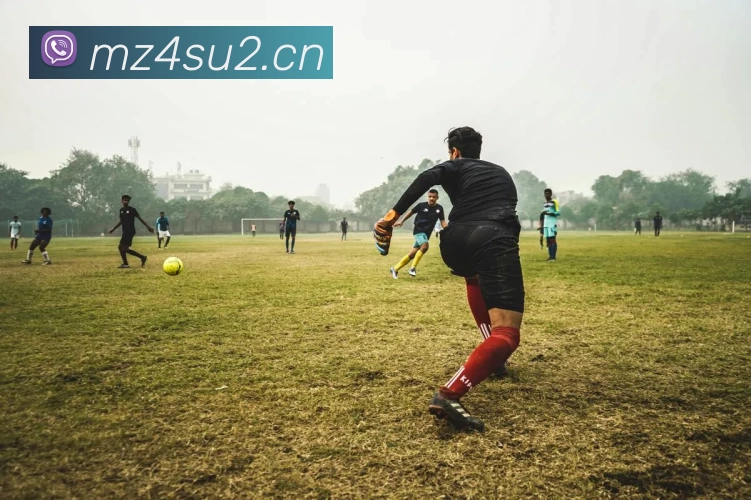 华体会APP 高清赛事图